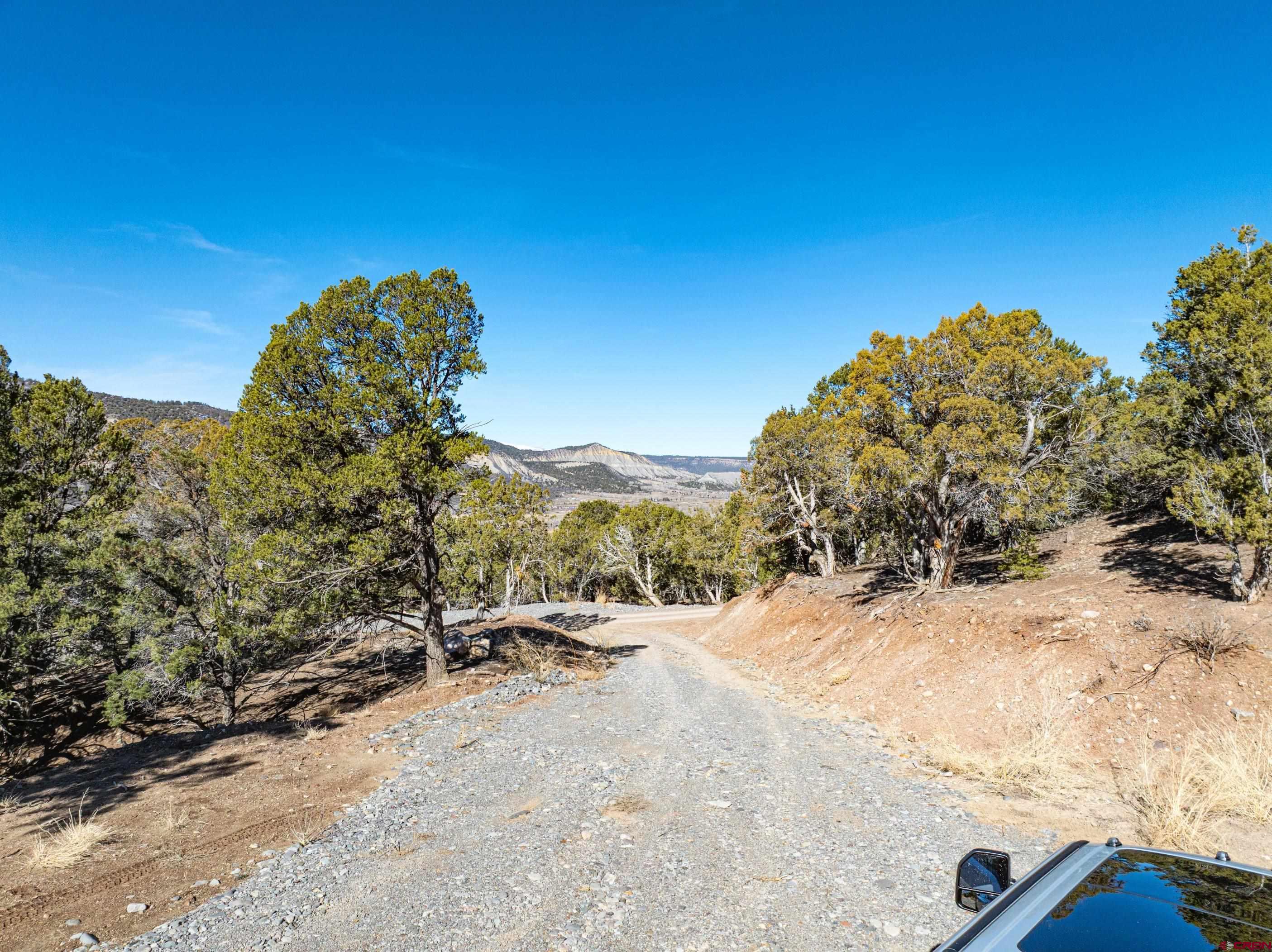 Tbd Elsie Trail Ridgway, CO 81432 - Photo 6 of 35 a view of a backyard of a house