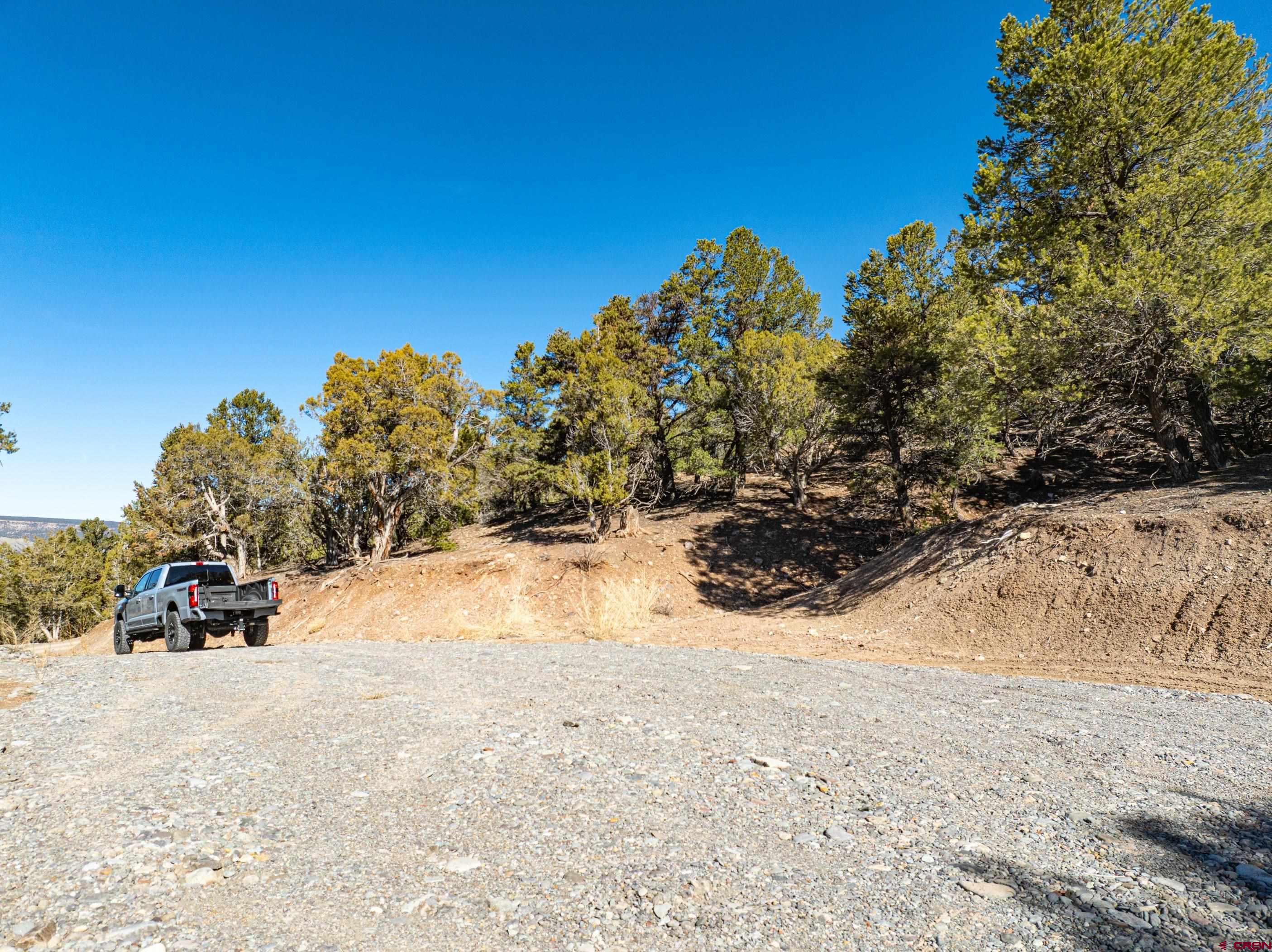 Tbd Elsie Trail Ridgway, CO 81432 - Photo 7 of 35 a view of yard covered with snow in front of house