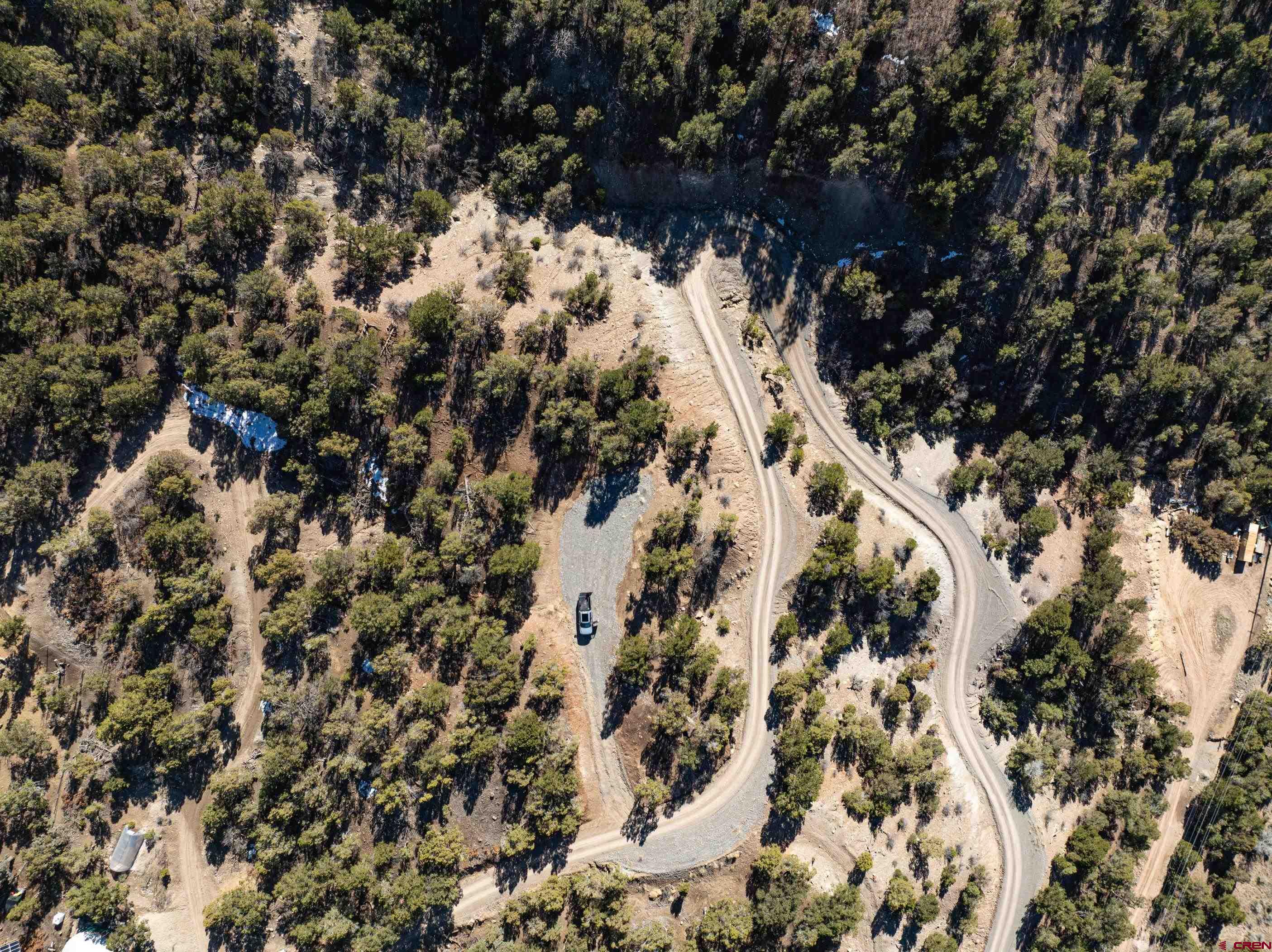 Tbd Elsie Trail Ridgway, CO 81432 - Photo 9 of 35 a view of a tree in a covered with snow