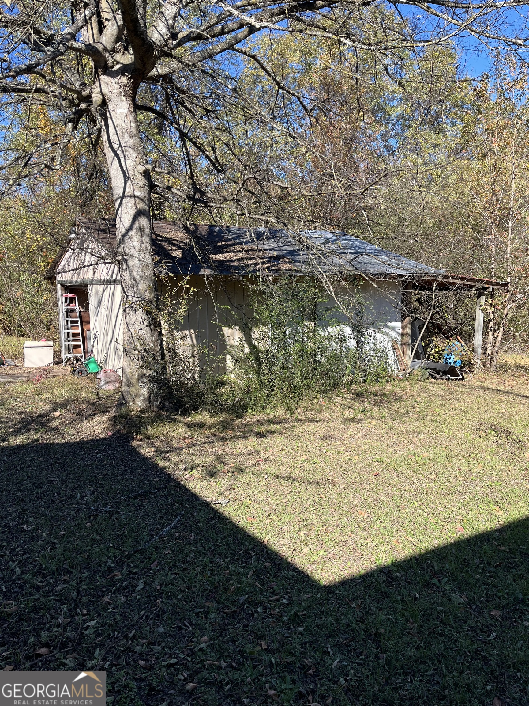 6326 Riggins Mill Road Dry Branch, GA 31020 - Photo 18 of 108 a view of a yard with an tree
