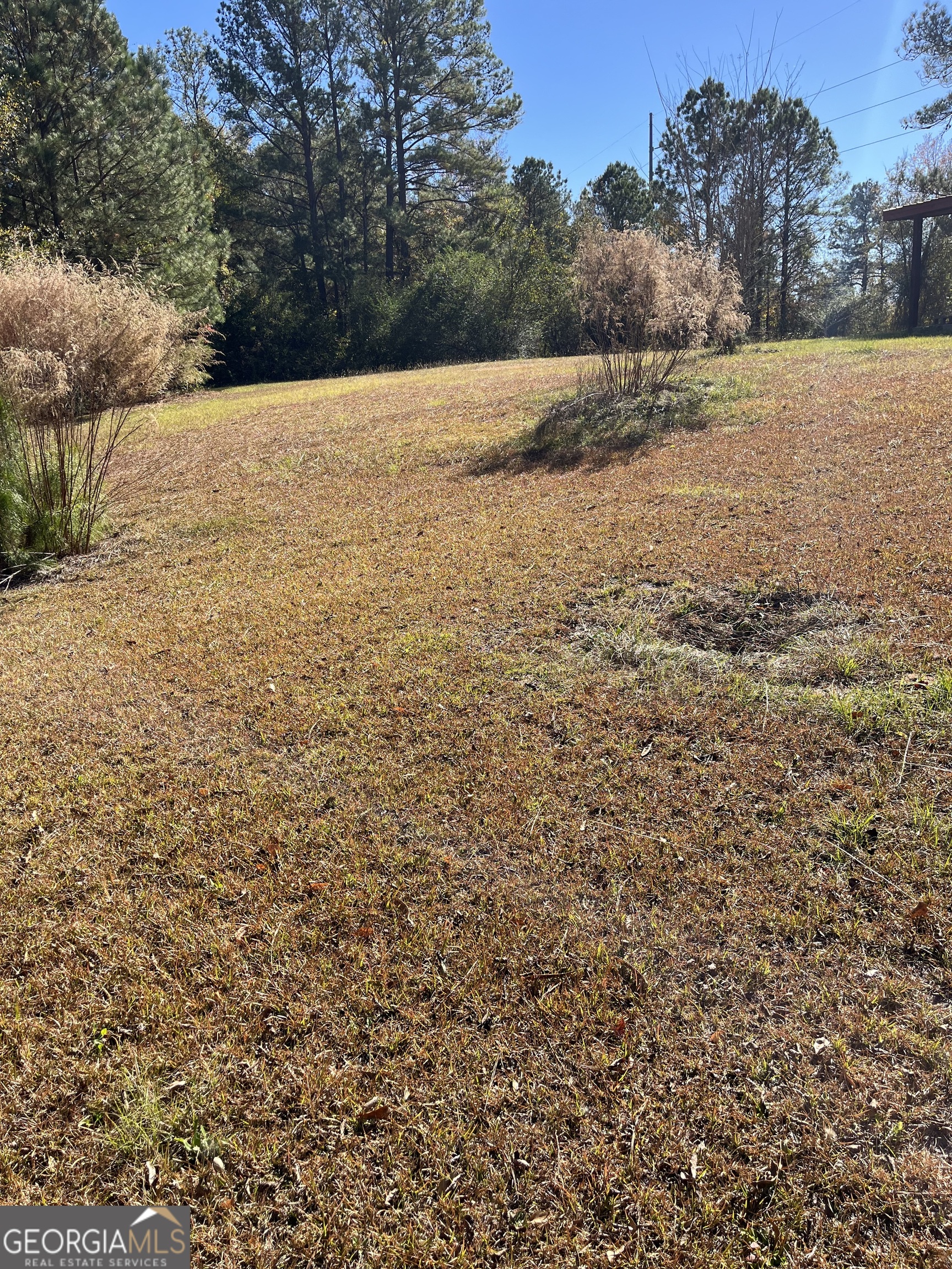 6326 Riggins Mill Road Dry Branch, GA 31020 - Photo 21 of 108