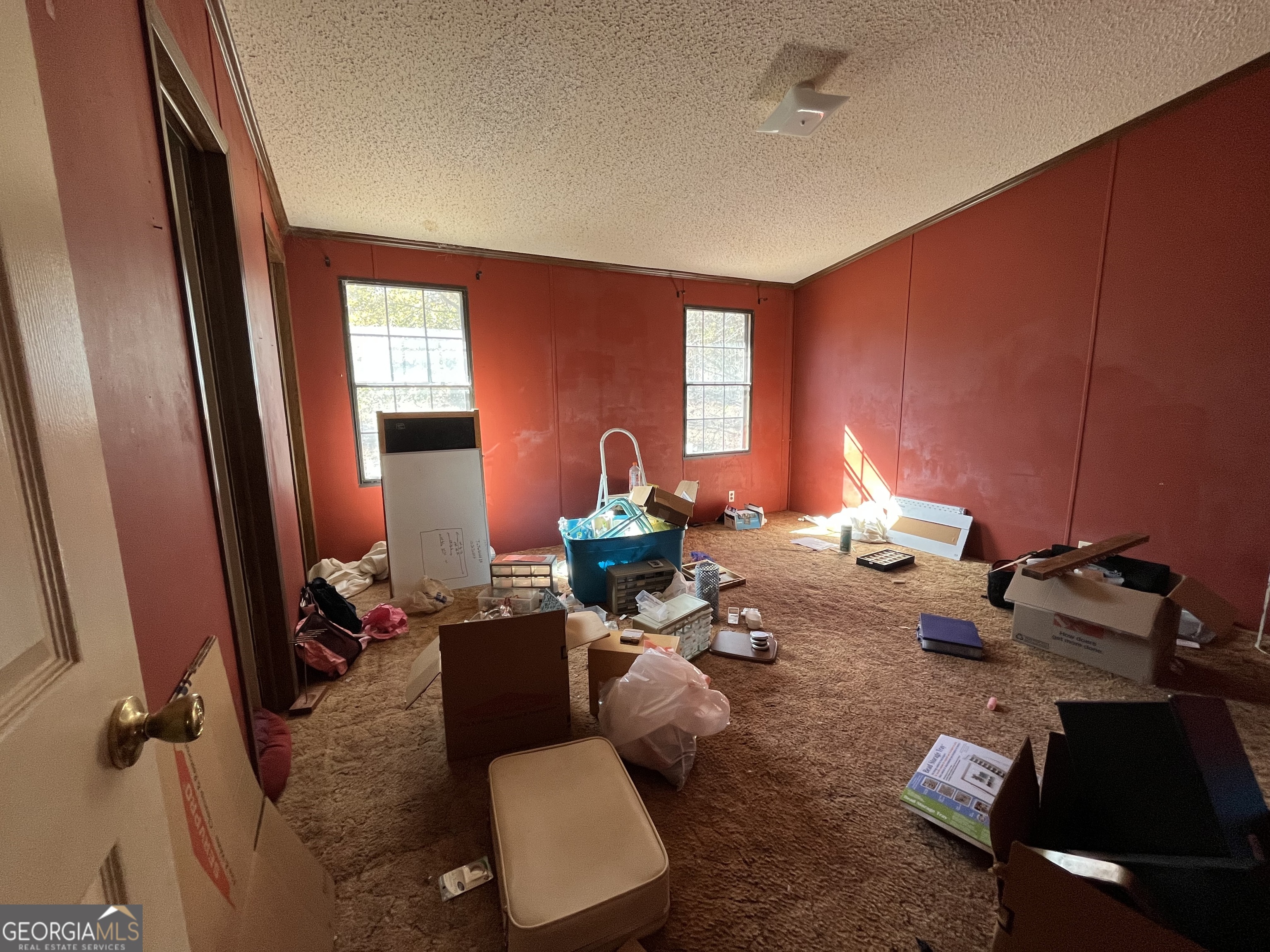 6326 Riggins Mill Road Dry Branch, GA 31020 - Photo 79 of 108 a living room with furniture a window and gym equipment