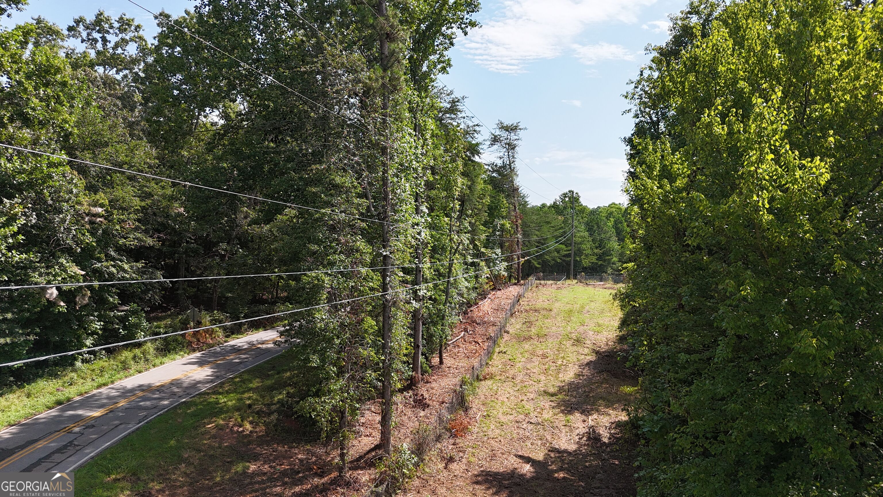 10.8-ac Cody Road Mount Airy, GA 30563 - Photo 9 of 21 Gallery Image 9
