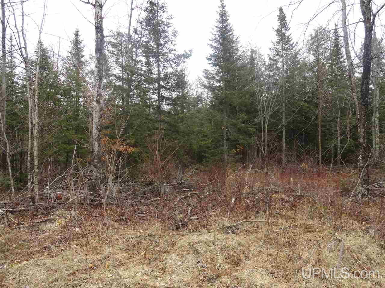 40-acres East Edge Road Germfask, MI 49836 - Photo 10 of 24 Gallery Image 10