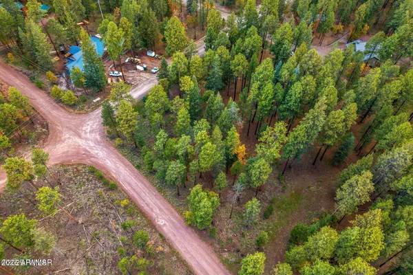a view of a garden with plants