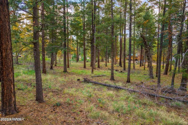 a view of outdoor space with trees