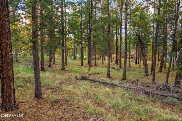 a view of outdoor space with trees