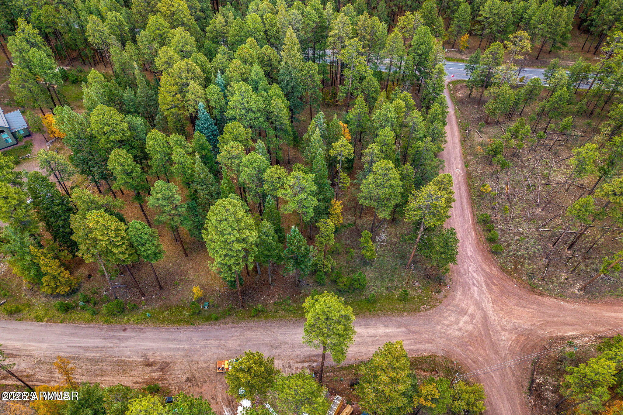 0 County Road 2196, Unit 74A Alpine, AZ 85920 - Photo 15 of 16 a view of a yard with plants and a large tree