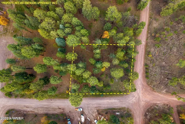 an aerial view of a residential houses with yard