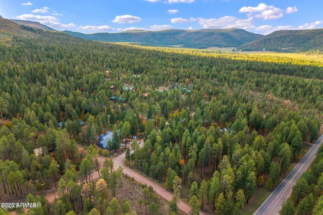 a view of an outdoor space and a yard