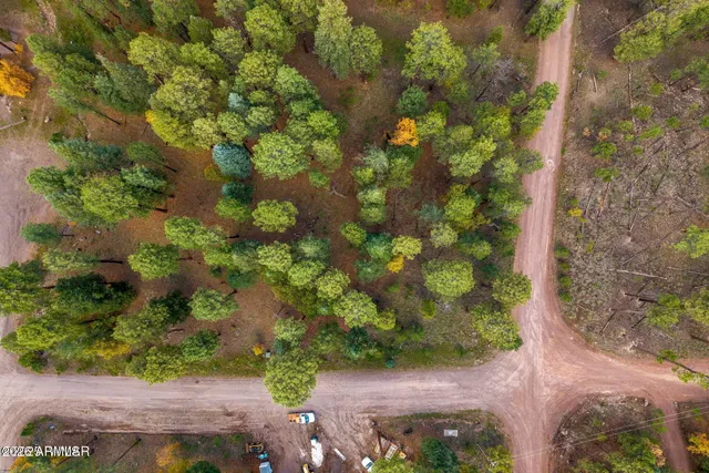 a picture of flowers