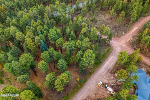 a view of a garden with a flower