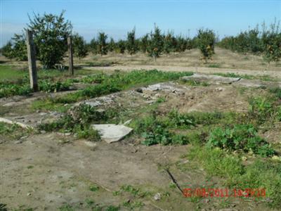 42712 Road 64 Reedley, CA 93654 - Photo 12 of 16 Gallery Image 12