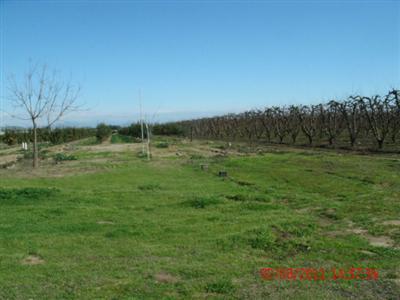 42712 Road 64 Reedley, CA 93654 - Photo 14 of 16 Gallery Image 14