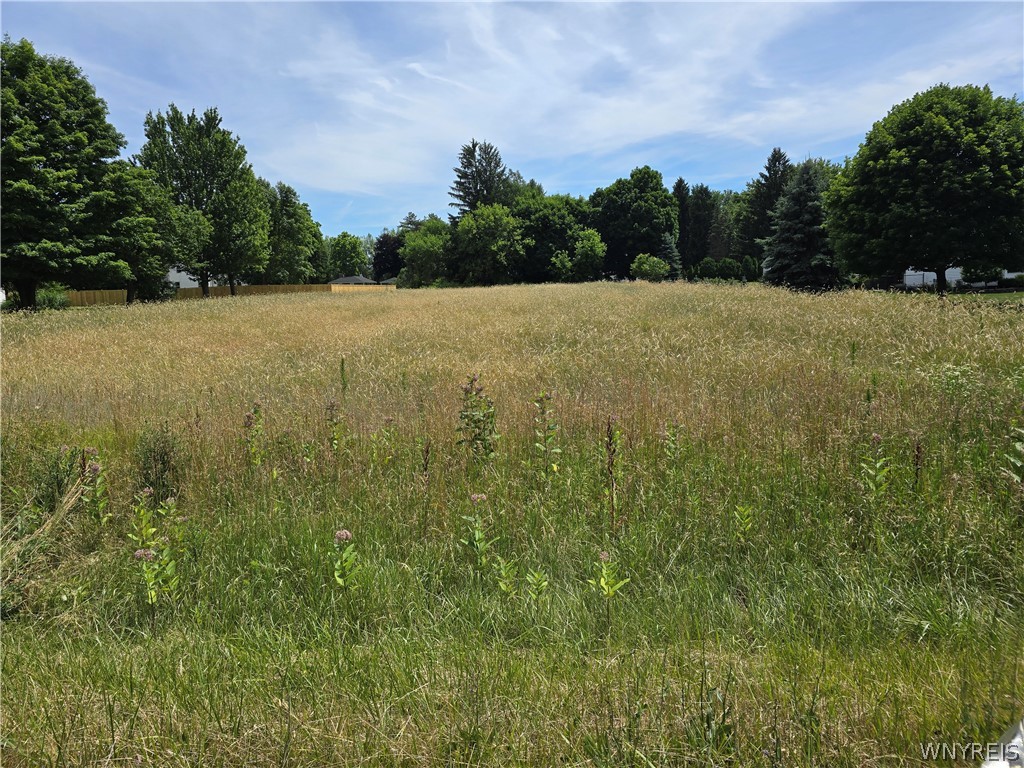 Vl Bullis Road Elma, NY 14059 - Photo 1 of 1 Gallery Image 1
