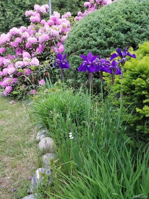 3003 Lakeshore Road Lexington, MI 48450 - Photo 49 of 51 Gallery Image 49