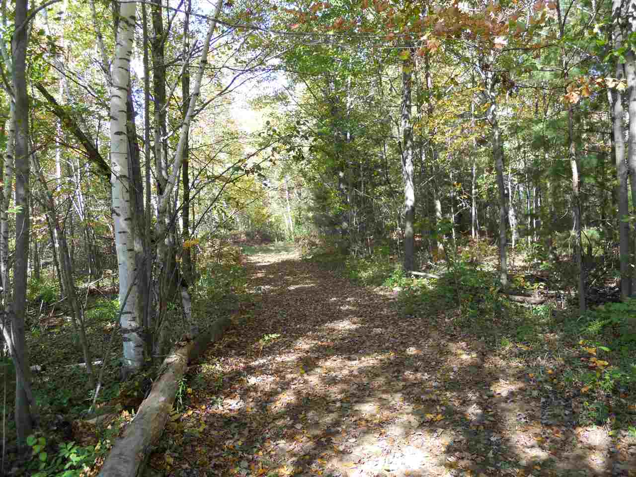 Rupprecht Road Vassar, MI 48768 - Photo 6 of 10