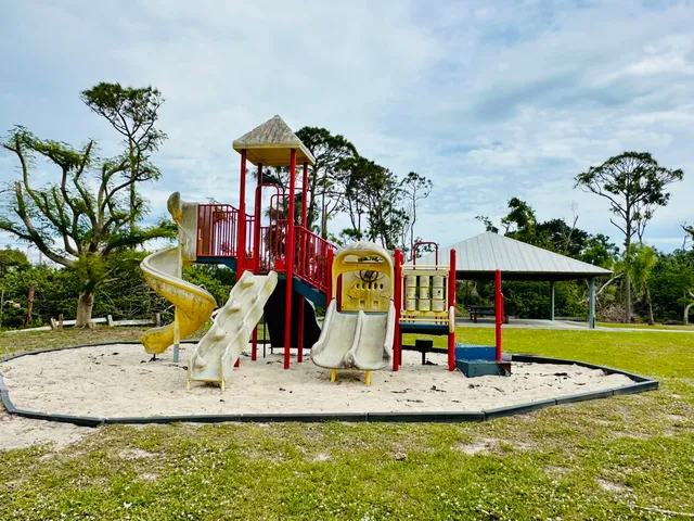 a view of a park with slide