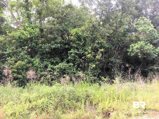 17531 Caldwell Lane Bon Secour, AL 36535 - Photo 1 of 5