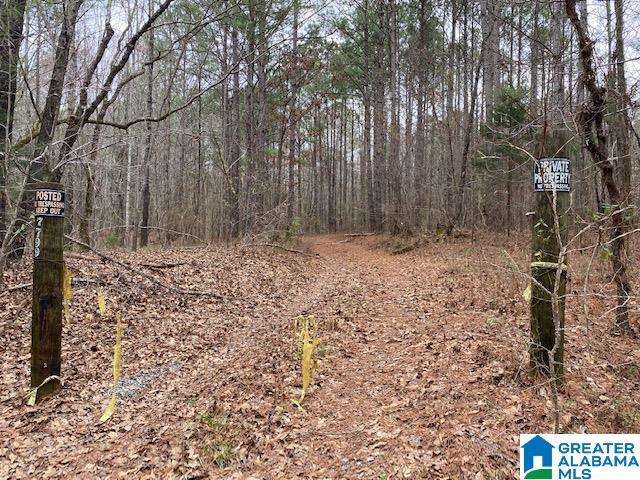 0 Forest Service Road Talladega, AL 35160 - Photo 1 of 3