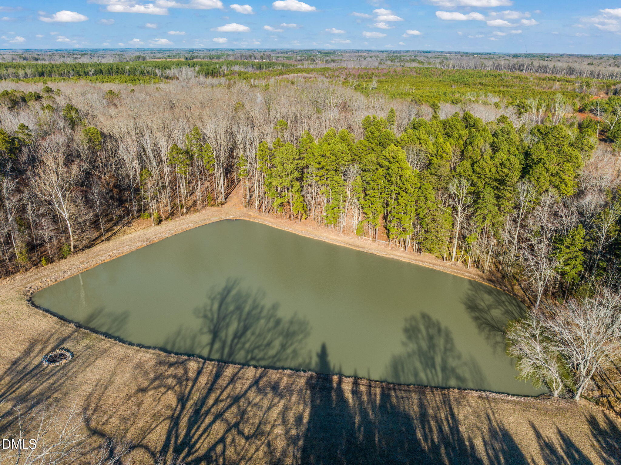 3150 Willards Mill Road Nelson, VA 24580 - Photo 2 of 51 65-web-or-mls-untitled-18