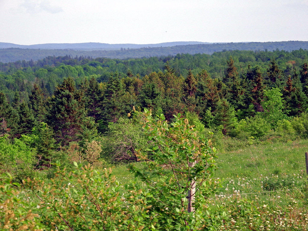 Green Green Rd Road Houlton, ME 04730 - Photo 17 of 30 hodgdon-oliver-land-10