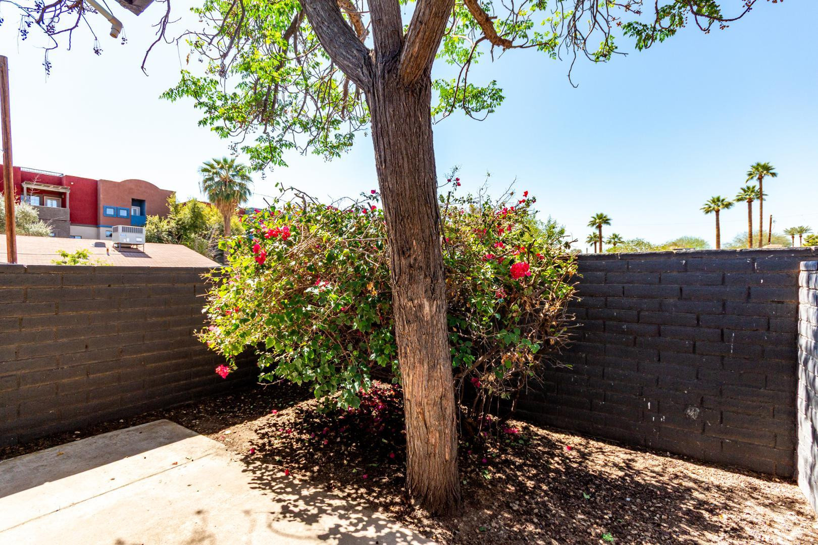 3034 North 35th Street, Unit 3 Phoenix, AZ 85018 - Photo 10 of 10