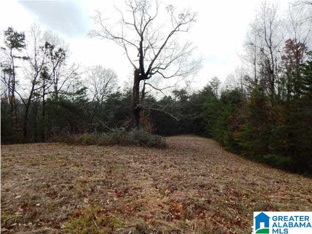 401 Beasley Road Gardendale, AL 35071 - Photo 14 of 15