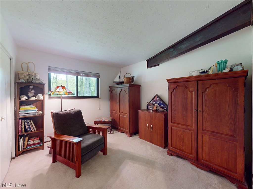 5626 Trask Road Madison, OH 44057 - Photo 25 of 50