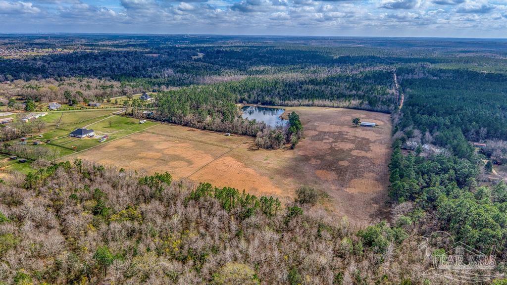 1861 Booth Lake Road Cantonment, FL 32533 - Photo 17 of 17 Gallery Image 17