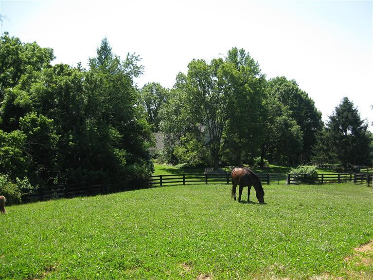 5664 Beaver Road Union, KY 41091 - Photo 3 of 30 Gallery Image 3