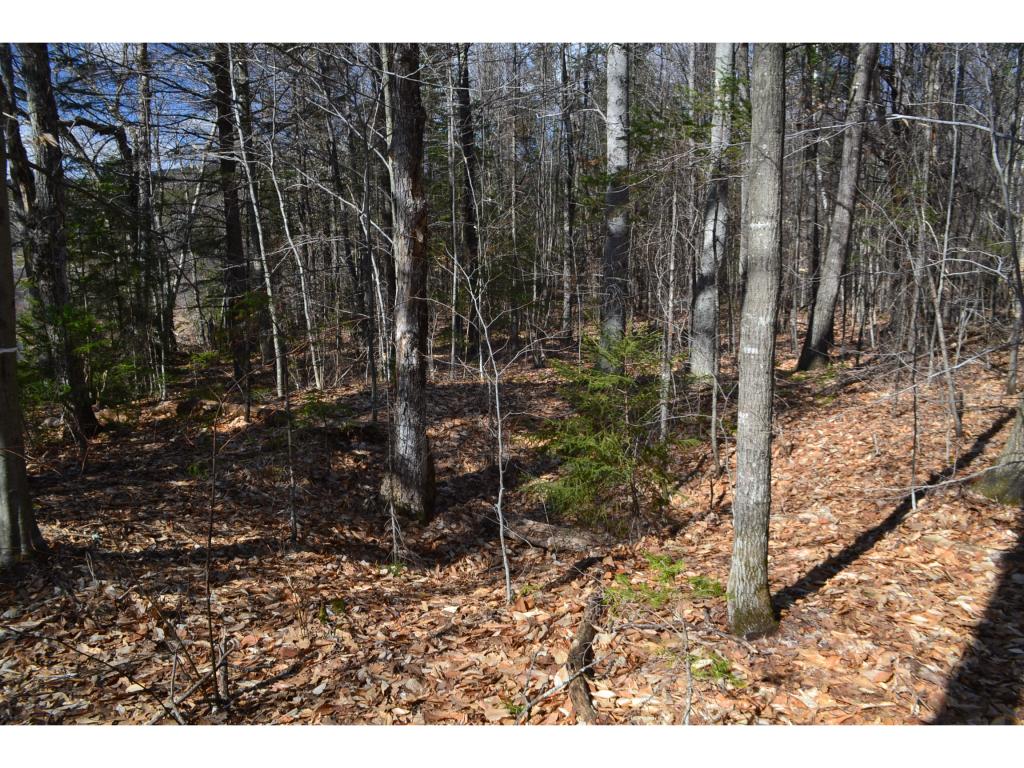 292 King Rd Hill Hill, NH 03243 - Photo 11 of 16 Gallery Image 11