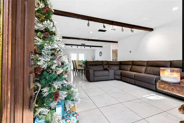 a living room with furniture plant and a window