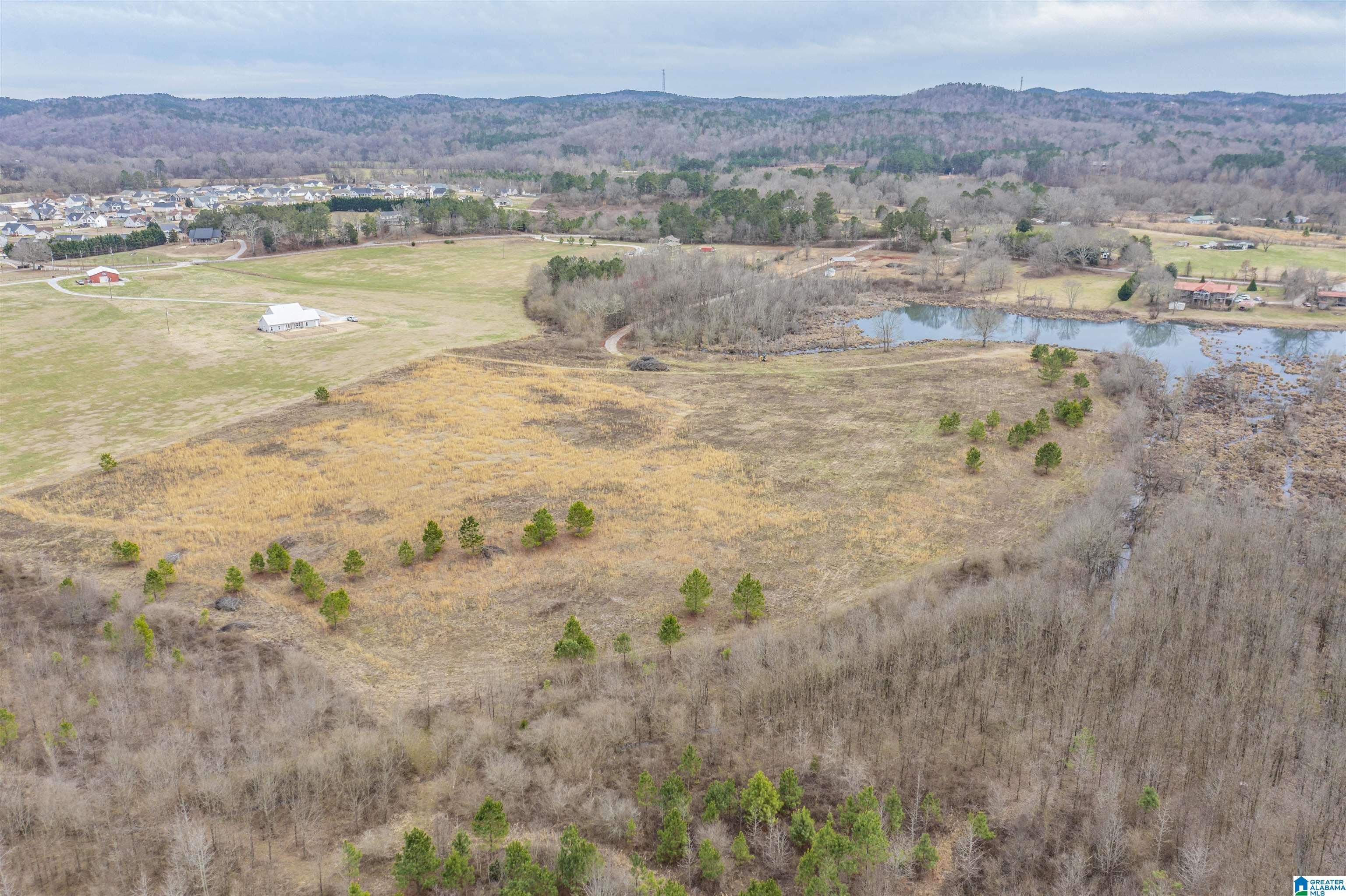 1619 Old Downing Ml Road, Unit 40 03 ACRES Anniston, AL 36207 - Photo 24 of 29