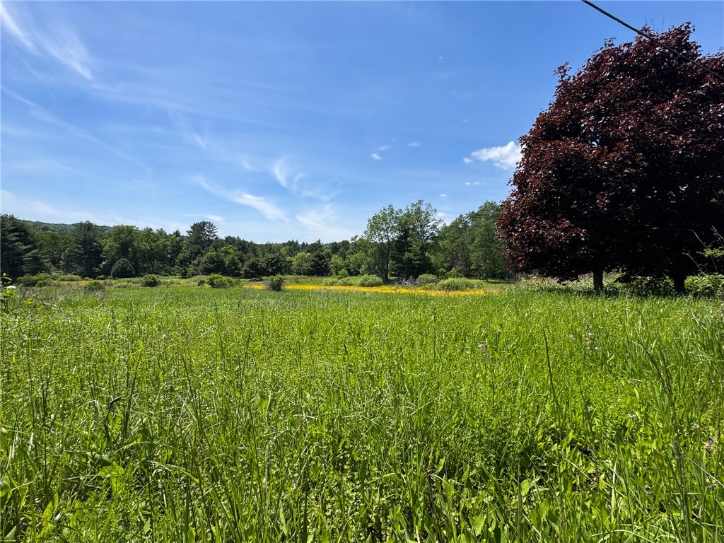 Copes Corners Road South New Berlin, NY 13843 - Photo 4 of 10
