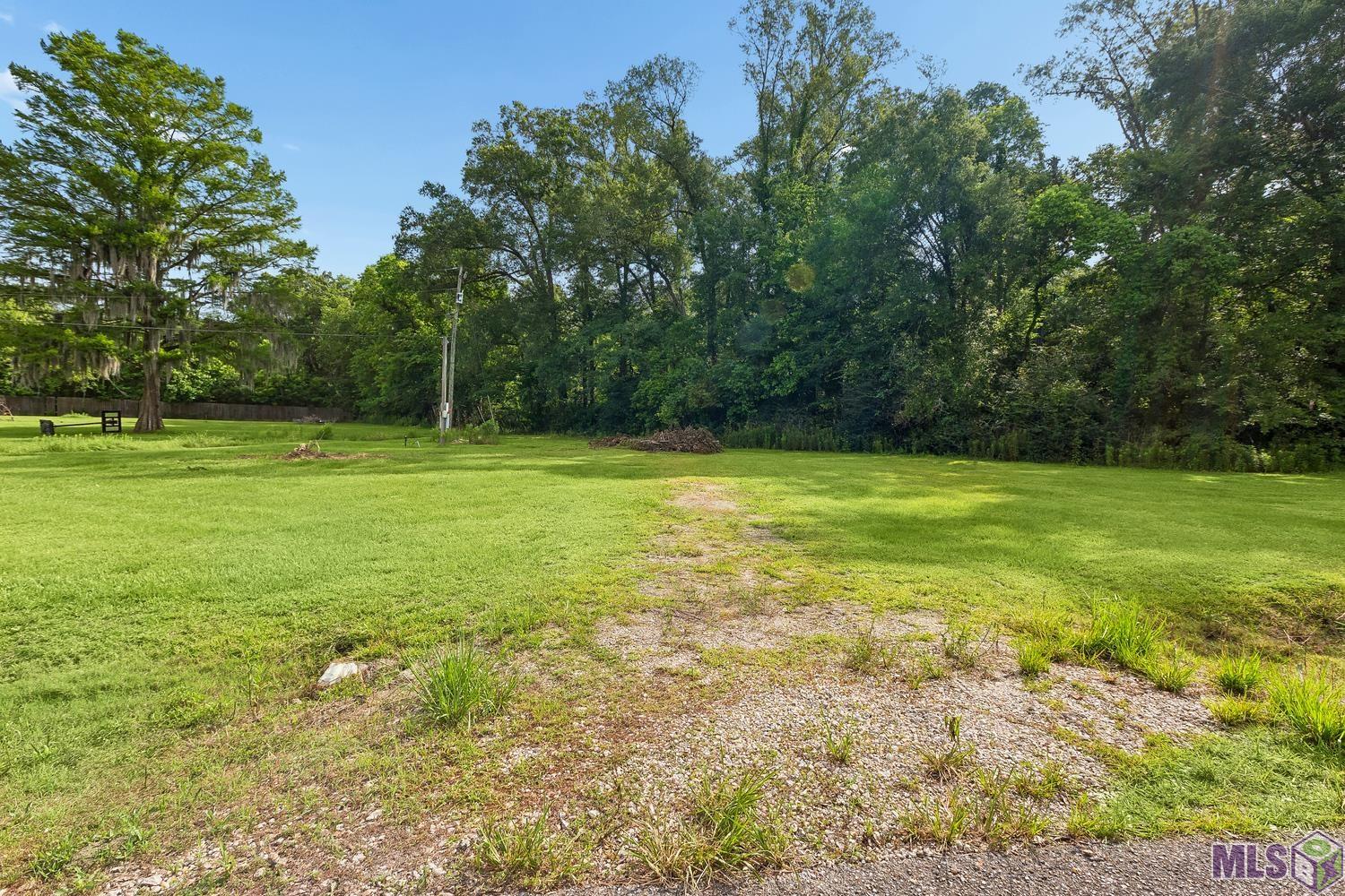 12246 Peter Bourgeois Road St. Amant, LA 70774 - Photo 9 of 21