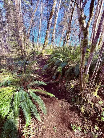 $449,900 | 706 Falls Road, Unit 35, Randle, WA 98377