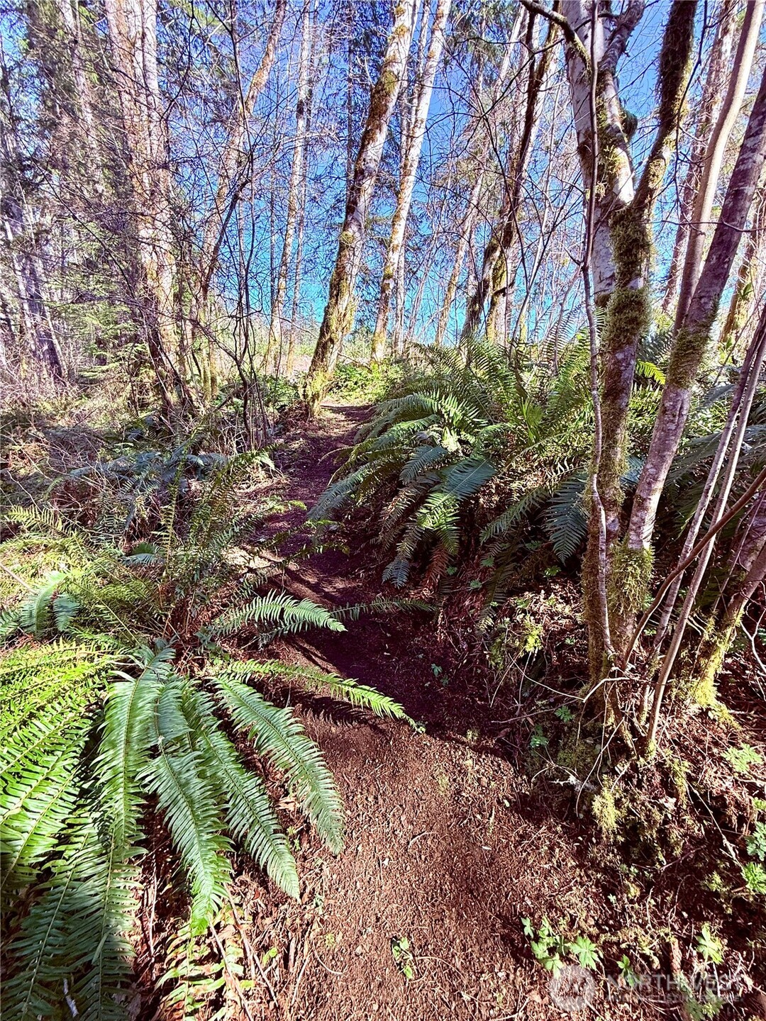 706 Falls Road, Unit 35 Randle, WA 98377 - Photo 31 of 40