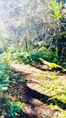 $449,900 | 706 Falls Road, Unit 35, Randle, WA 98377