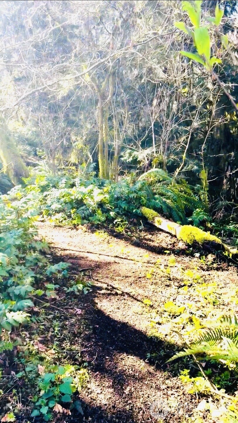 706 Falls Road, Unit 35 Randle, WA 98377 - Photo 32 of 40