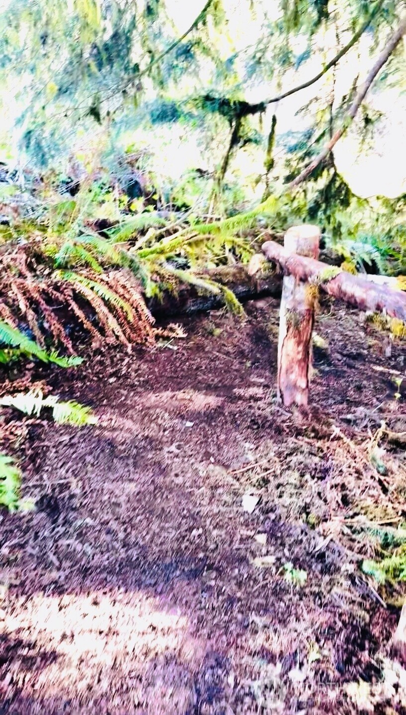 706 Falls Road, Unit 35 Randle, WA 98377 - Photo 33 of 40