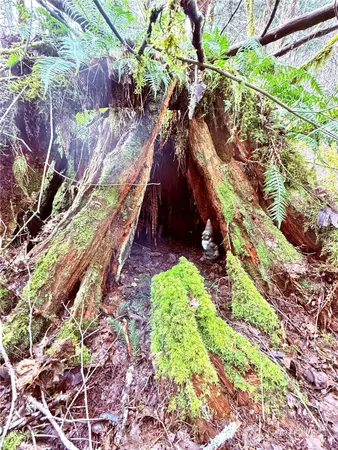 $449,900 | 706 Falls Road, Unit 35, Randle, WA 98377