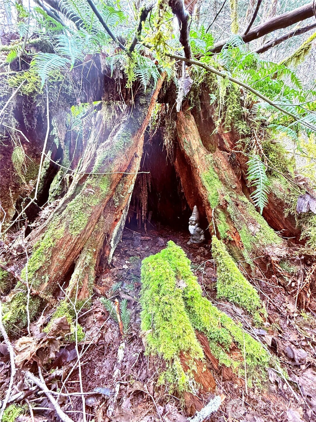 706 Falls Road, Unit 35 Randle, WA 98377 - Photo 34 of 40