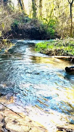 $449,900 | 706 Falls Road, Unit 35, Randle, WA 98377