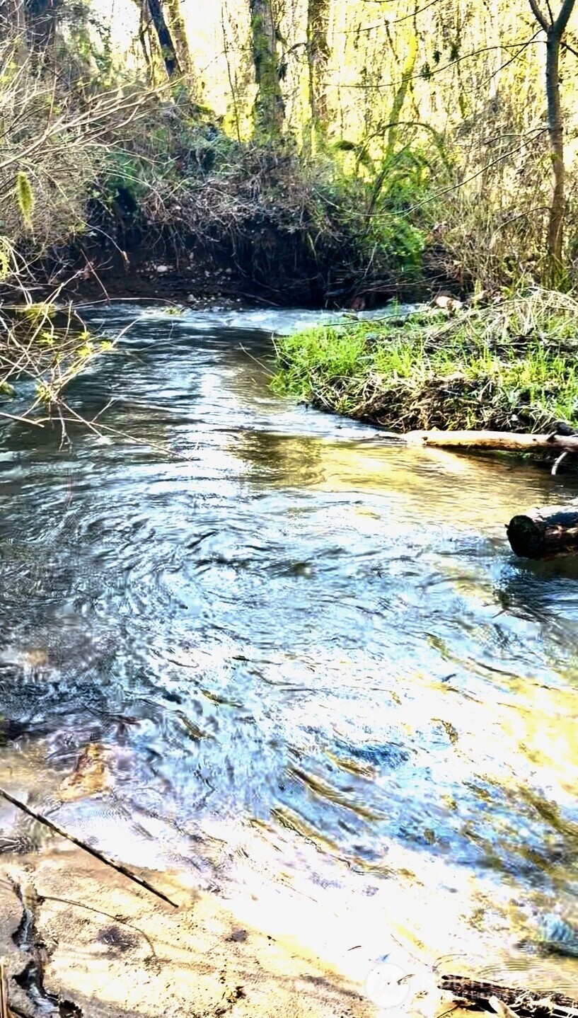 706 Falls Road, Unit 35 Randle, WA 98377 - Photo 35 of 40