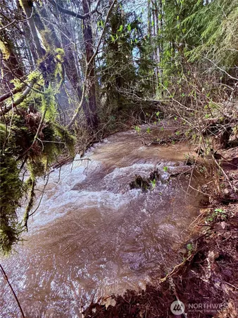 $449,900 | 706 Falls Road, Unit 35, Randle, WA 98377