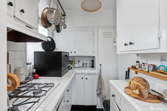 a view of a garden with plants and trees