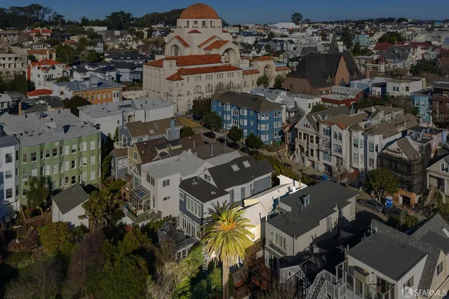 a view of a garden with plants