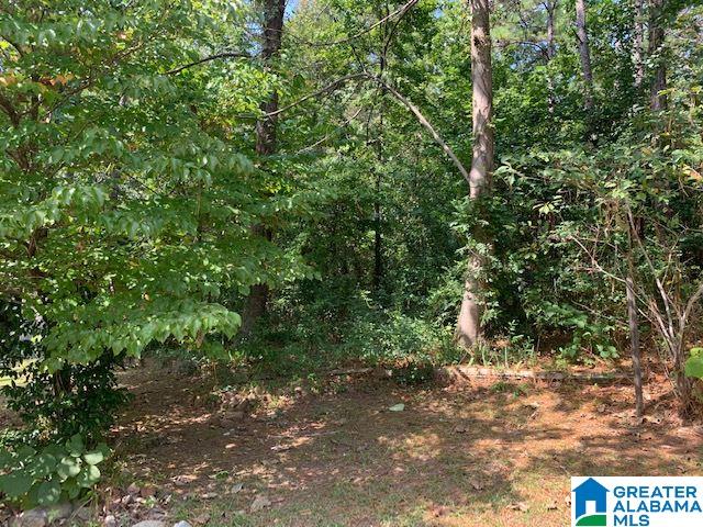1112 Mountain Brook Road Oxford, AL 36203 - Photo 34 of 50