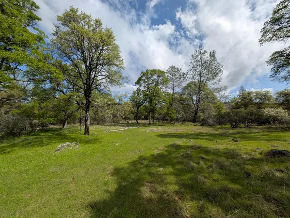 a view of field with trees in the background